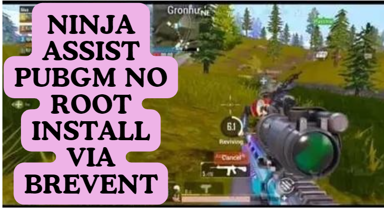 NINJA ASSIST PUBGM NO ROOT INSTALL VIA BREVENT