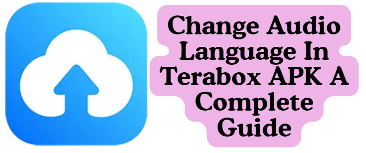 Change Audio Language In Terabox APK A Complete Guide