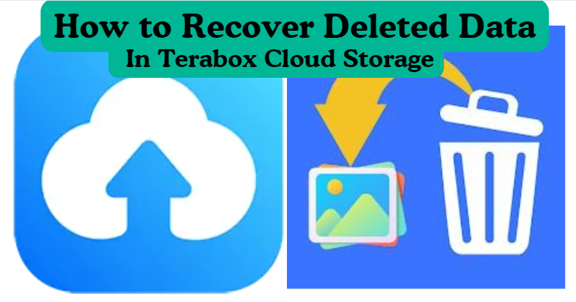 How to Recover Deleted Data In Terabox Cloud Storage?