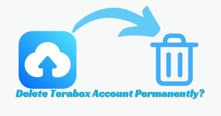 How to Delete Terabox Account Permanently?